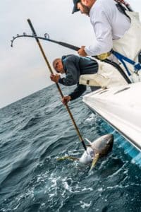 deep sea fishing